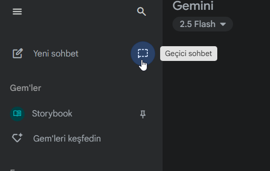 Google Gemini Geçici sohbet